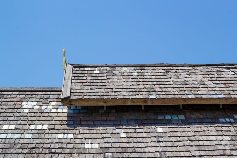 Wood Shake Roof Service